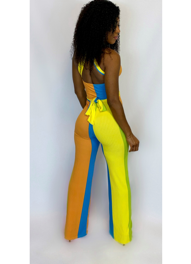 Multi colored jumpsuit